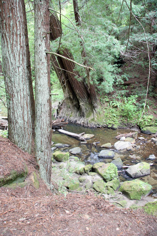 San Mateo Creek