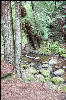 San Mateo Creek