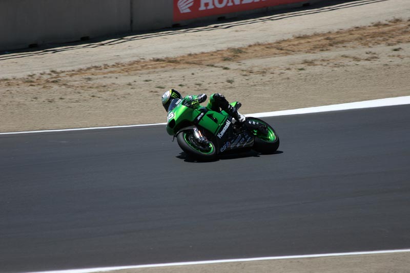R. Hayden