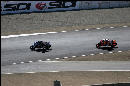 Checa and N. Hayden