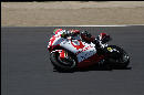 Davies