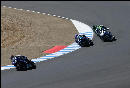 B. Bostrom, May, Holden and Hacking