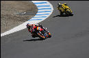 N. Hayden and Guintoli