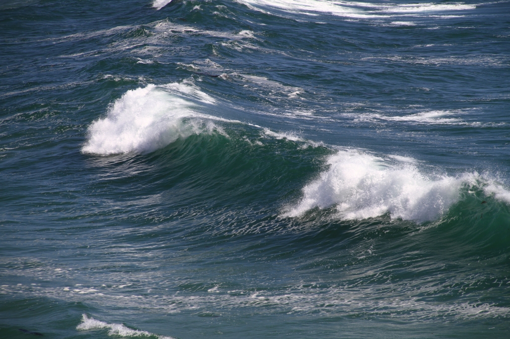 IMG_1316.JPG - Waves kept getting bigger all day