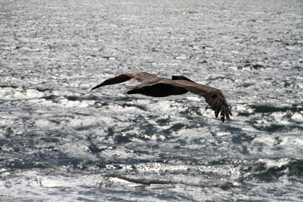 IMG_1398.JPG