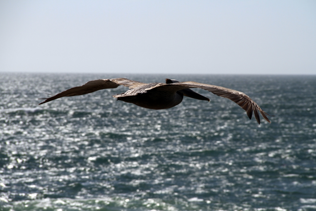 IMG_1491.JPG