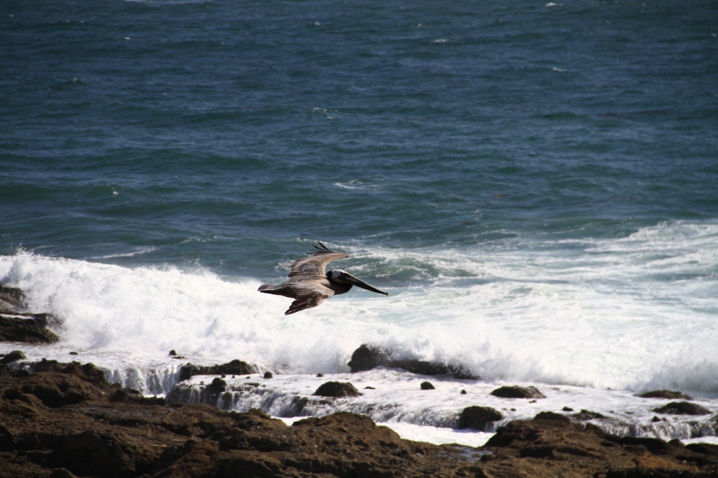 IMG_1535.JPG