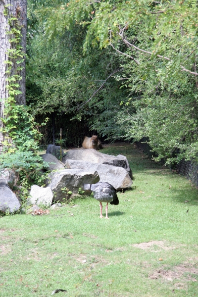 SME_0051.jpg