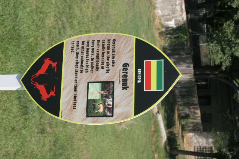 SME_0143.jpg