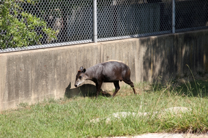 SME_0148.jpg