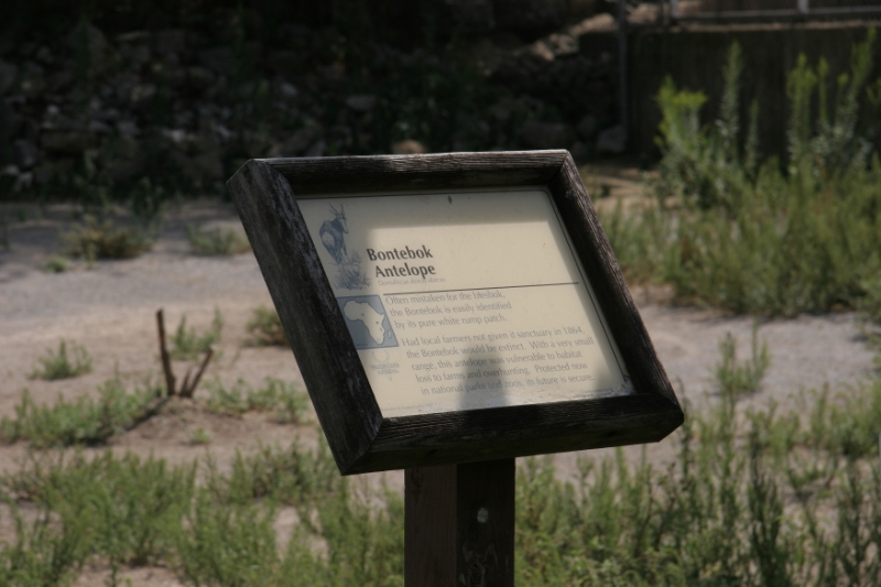 SME_0503.jpg