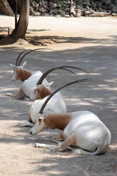 SME_0519.jpg