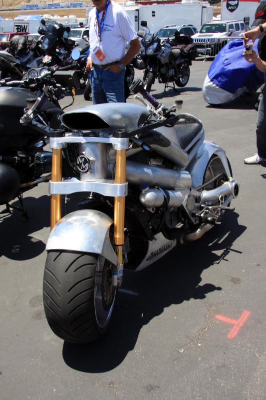 M09_3132.jpg - This beastly thing is just plain weird