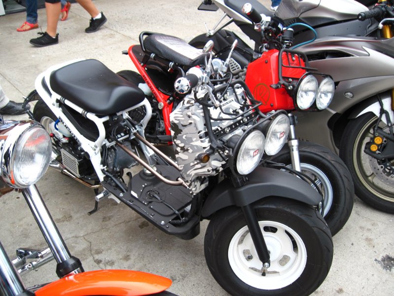 IMG_0380.JPG - Get your Ruckus on!