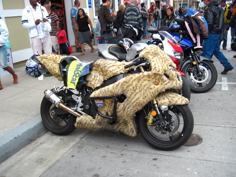 IMG_0434.JPG - I won't even try to explain this