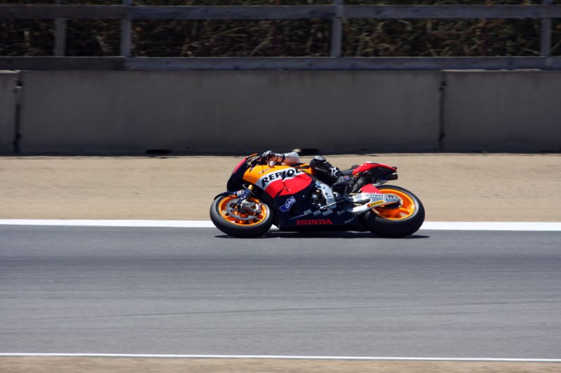 M10_4409.jpg - Pedrosa (he's so tiny!)