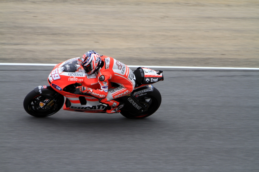 M11_6274.jpg - Hayden