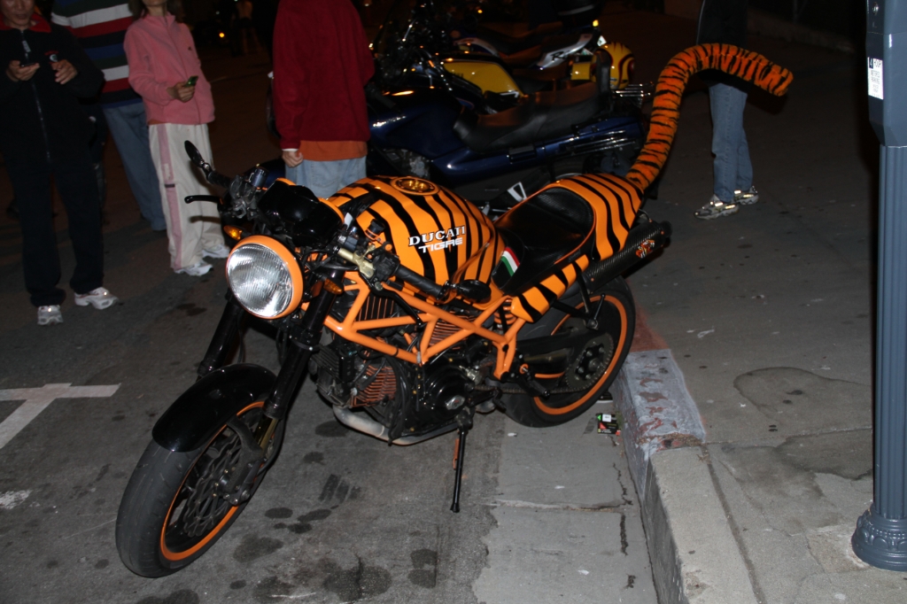 IMG_7874.JPG