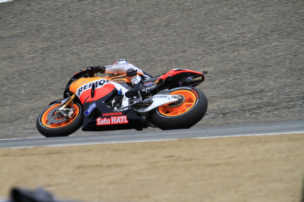 IMG_5401.JPG - Pedrosa