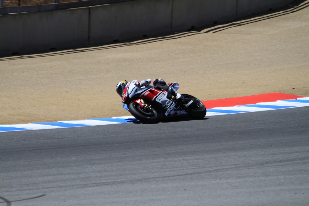 IMG_8950.JPG - Lorenzo