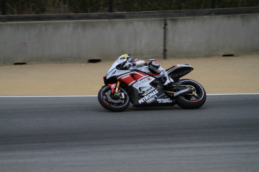 IMG_8090.JPG - Lorenzo