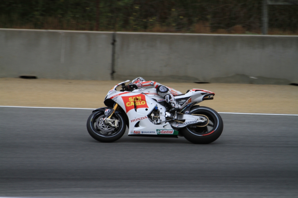 IMG_8157.JPG - Simoncelli