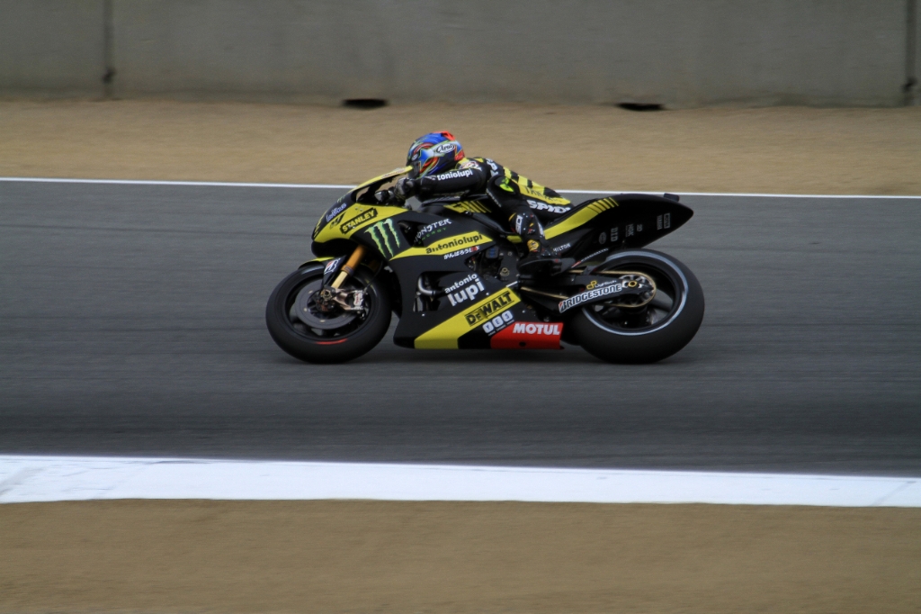IMG_8244.JPG - Edwards