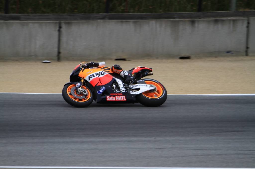 IMG_8303.JPG - Pedrosa