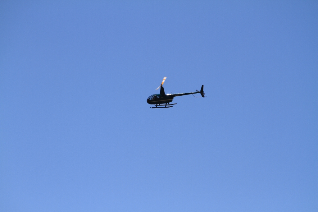 IMG_6669.JPG - One of many helicopters flying around this weekend