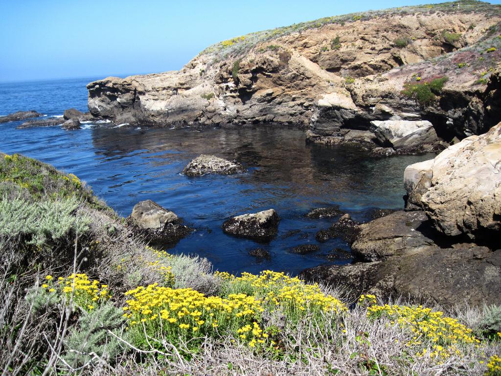 P10_0230.jpg - Sand Hill Cove