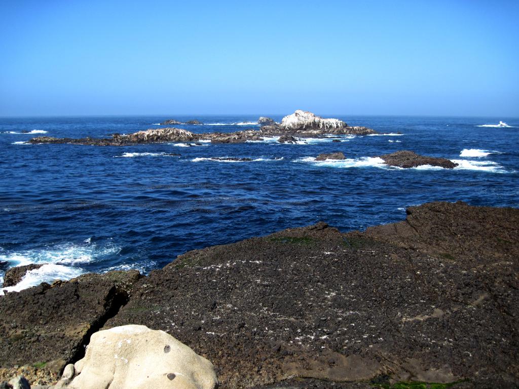 P10_0239.jpg - Sea Lion Rock. You could hear them barking.