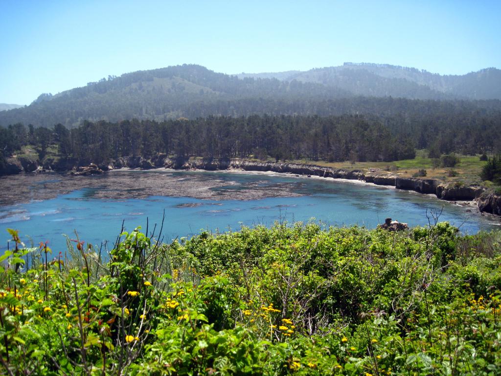 P10_0285.jpg - Overlooking Whalers' Cove. I stayed out of all the poison oak, which was everywhere.