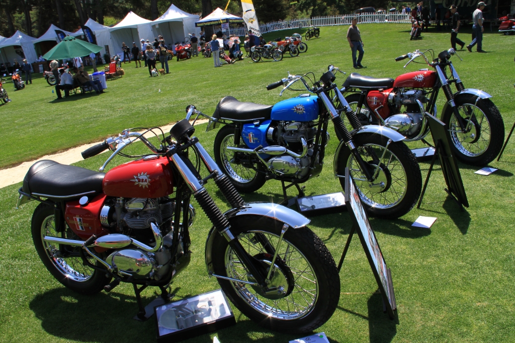 IMG_6594.JPG - Collection of BSAs for off road riding