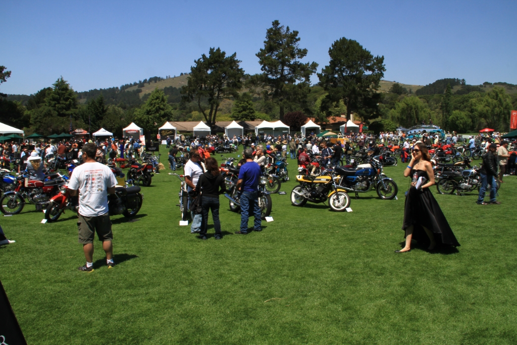 IMG_6725.JPG - It was a fantastic event and a gorgeous day to be in Carmel Valley. I'm almost certain I'll go back next year. 