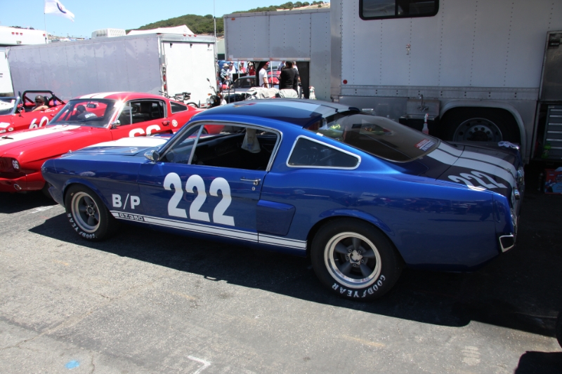 IMG_5524.JPG