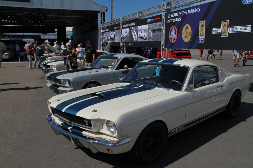 IMG_0224.JPG - GT350s everywhere!