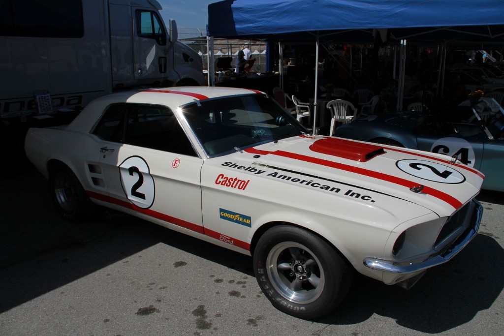 IMG_1696.JPG
