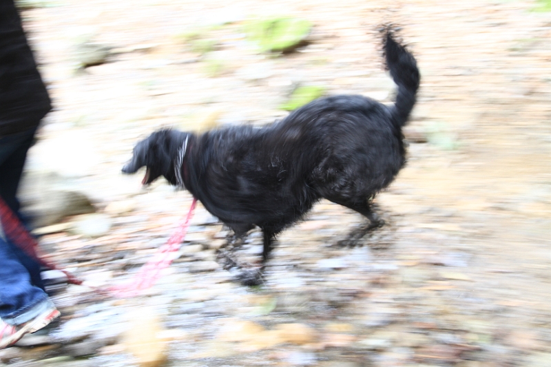 IMG_5613.JPG - This pretty much explains Hannah - constant, crazy motion
