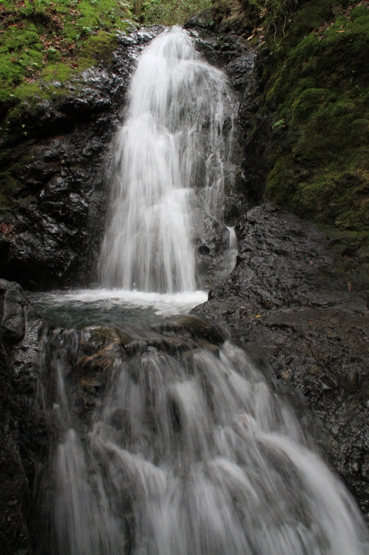 IMG_5753.JPG