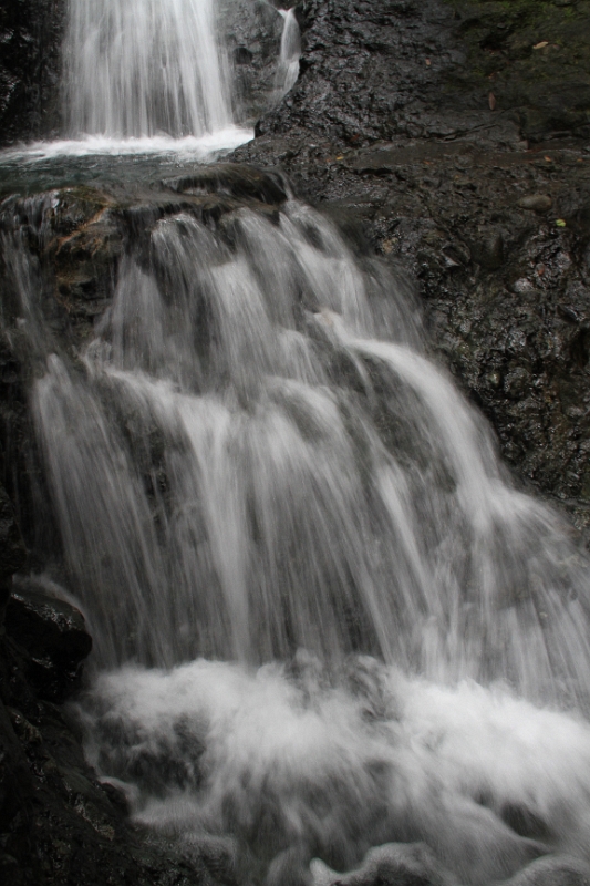IMG_5756.JPG