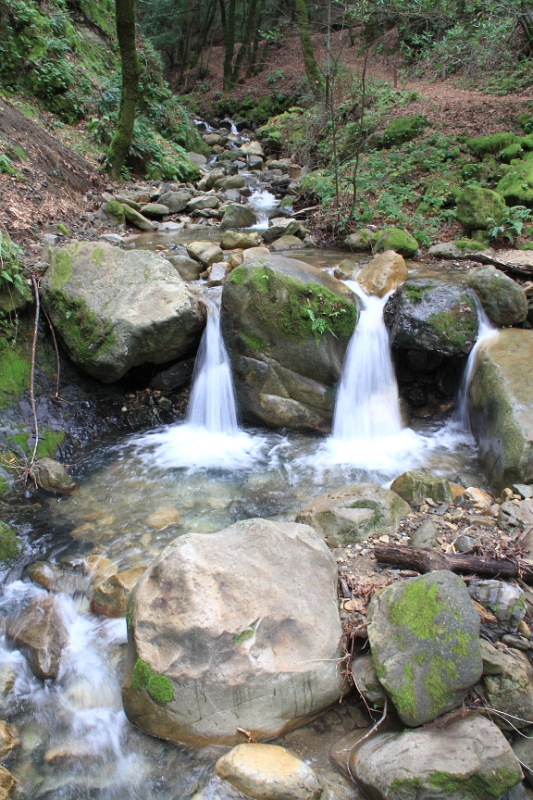 IMG_5803.JPG