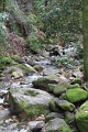 IMG_5586