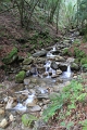 IMG_5784