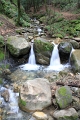 IMG_5803