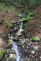 IMG_5816