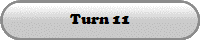 Turn 11