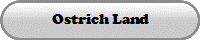 Ostrich Land