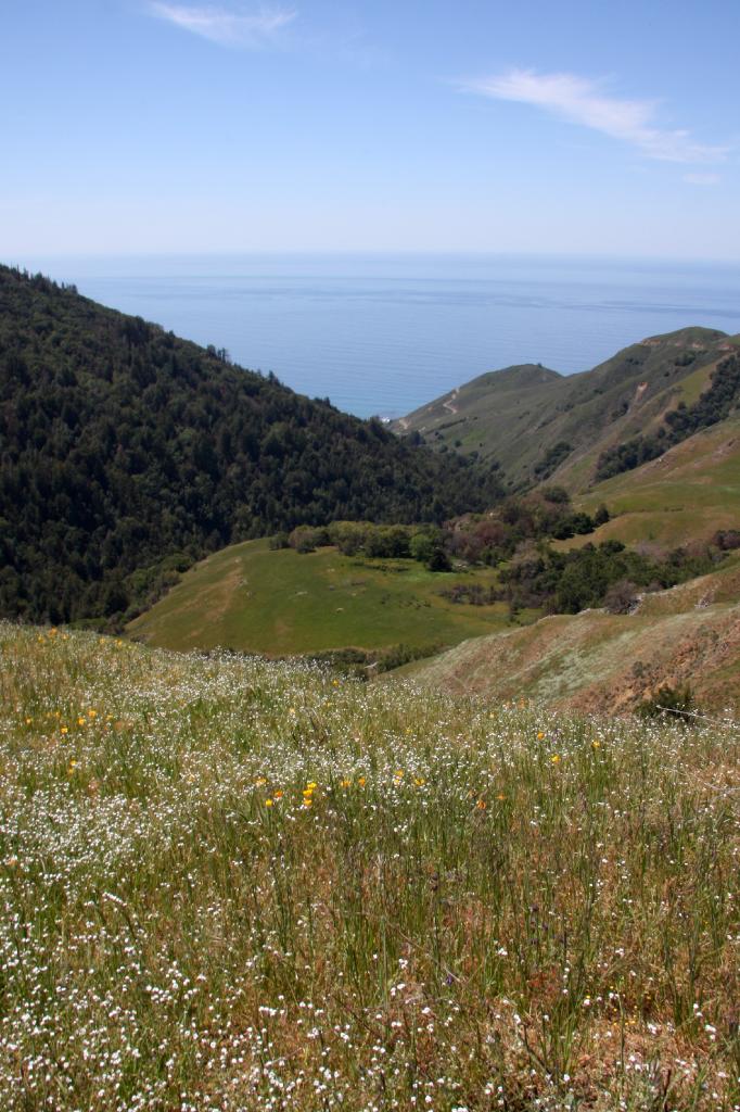 NAC_8847.jpg - A few miles later, the view out to the Pacific!